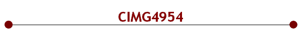 CIMG4954