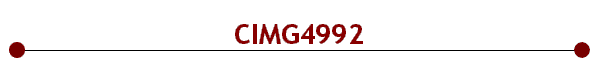 CIMG4992