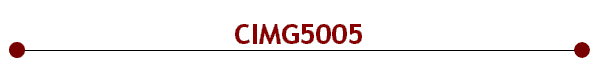 CIMG5005