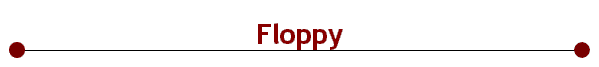 Floppy