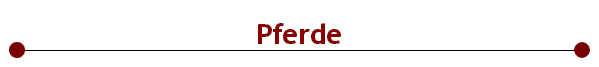 Pferde