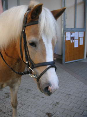 Oktoberfest200796